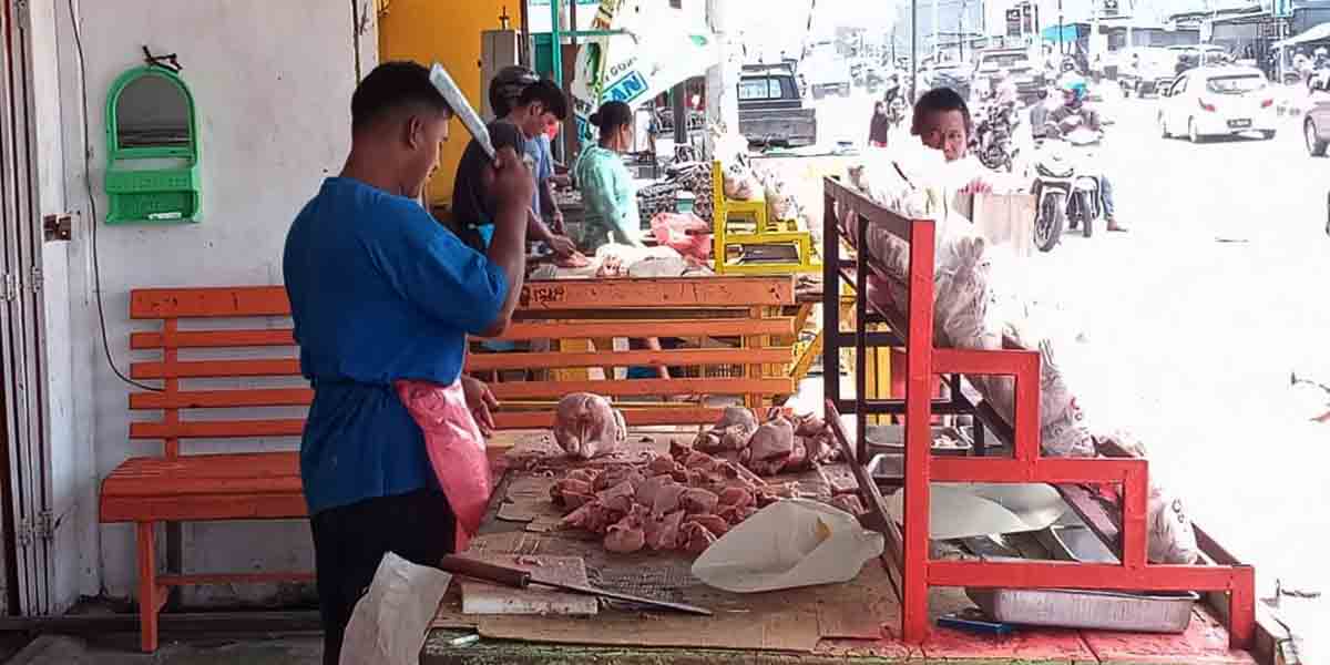 ayam-beku-sepi-pembeli